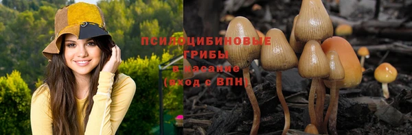 ПСИЛОЦИБИНОВЫЕ ГРИБЫ Елабуга