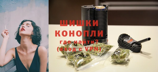 ПСИЛОЦИБИНОВЫЕ ГРИБЫ Елабуга