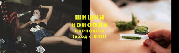 ПСИЛОЦИБИНОВЫЕ ГРИБЫ Елабуга