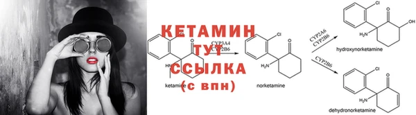 ПСИЛОЦИБИНОВЫЕ ГРИБЫ Елабуга