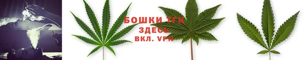 трава Дмитриев