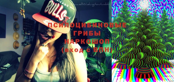 ПСИЛОЦИБИНОВЫЕ ГРИБЫ Елабуга