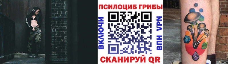 Купить  Кириши  Псилоцибиновые грибы Psilocybine cubensis 